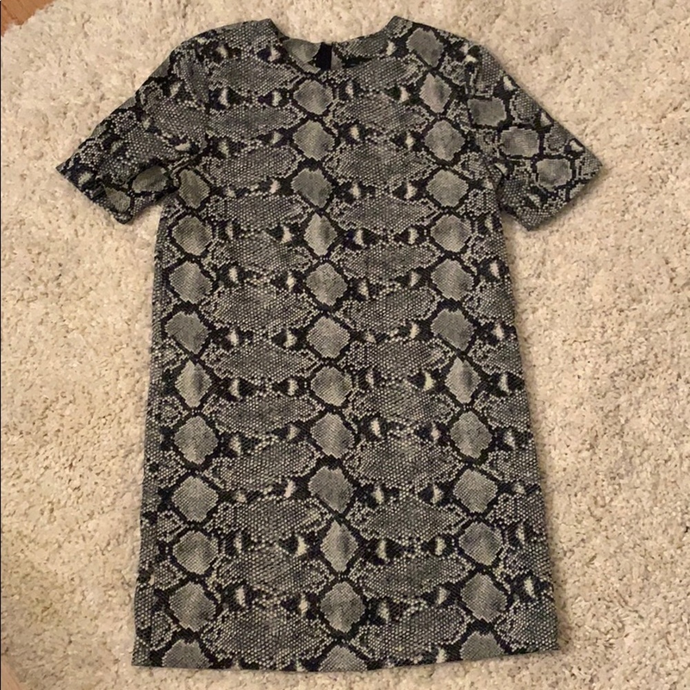 Zara Xs Snakeskin Shift Dress